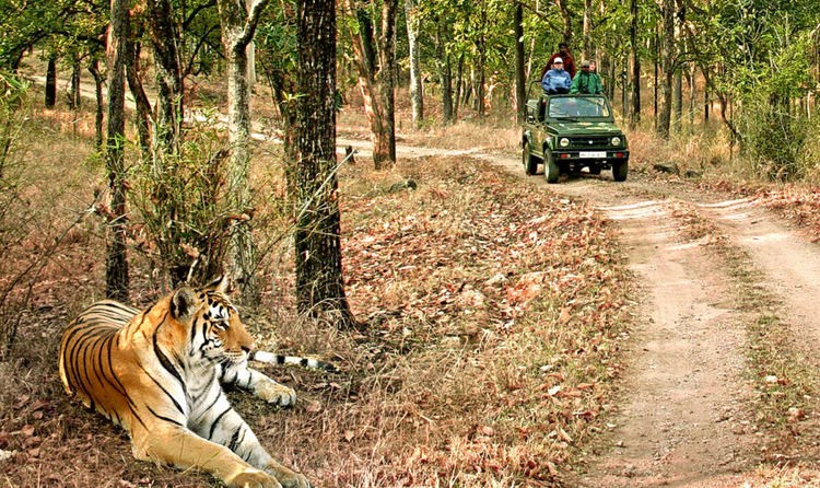 Jim Corbett National Park 